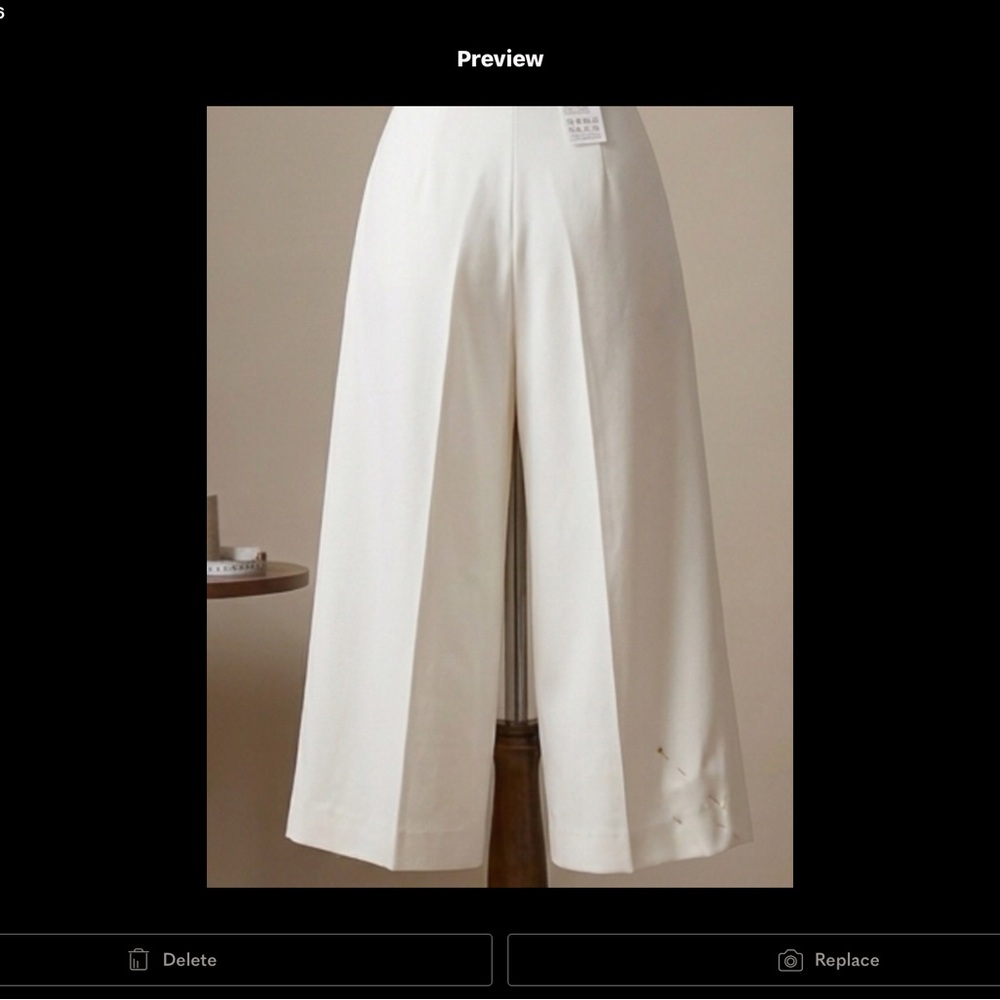 Babaton by Aritzia Pleated High-Rise Wide Leg Pants - White - Fully Lined